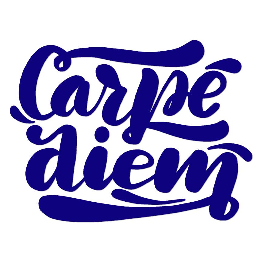 Carpe Diem, Vinyl Decal Sticker, Multiple Colors & Sizes #6494 | eBay